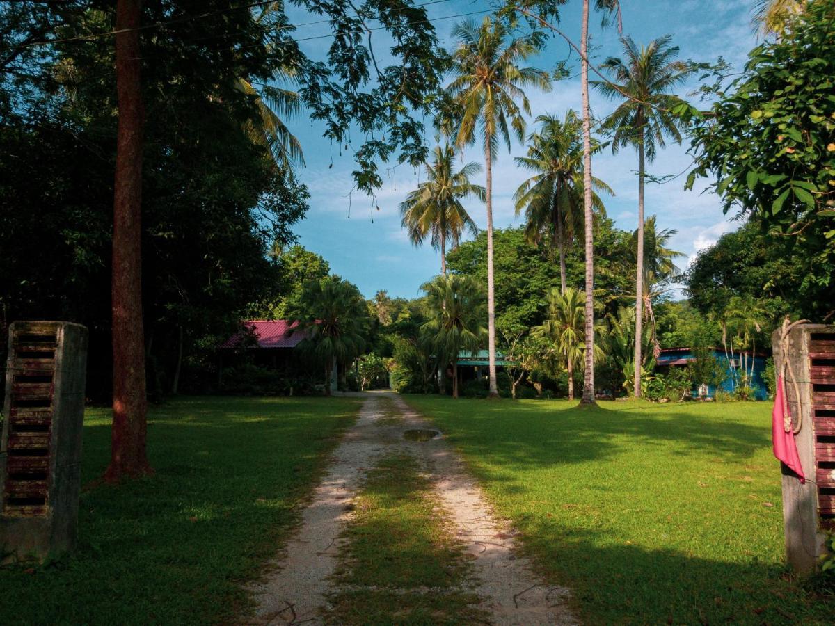 Keladi Langkawi